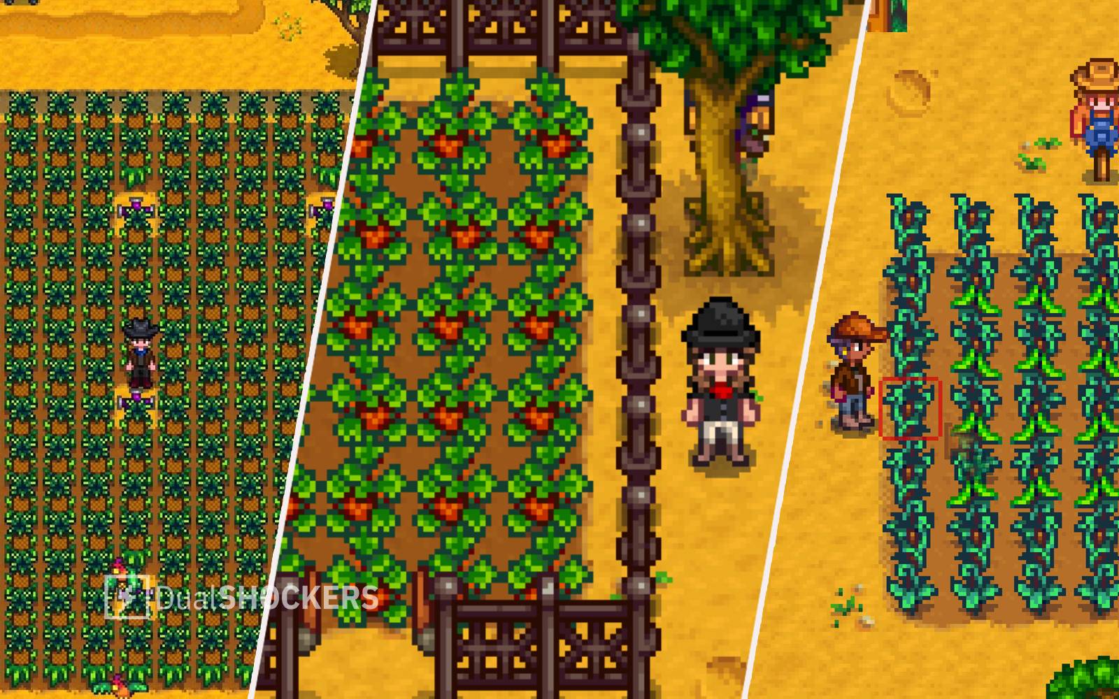 Stardew Valley: Best Crops For Each Season