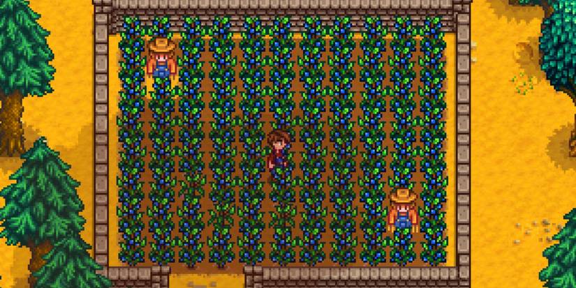 Stardew Valley: Best Crops For Each Season