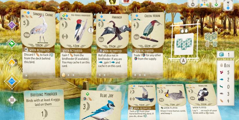 Player's deck of cards