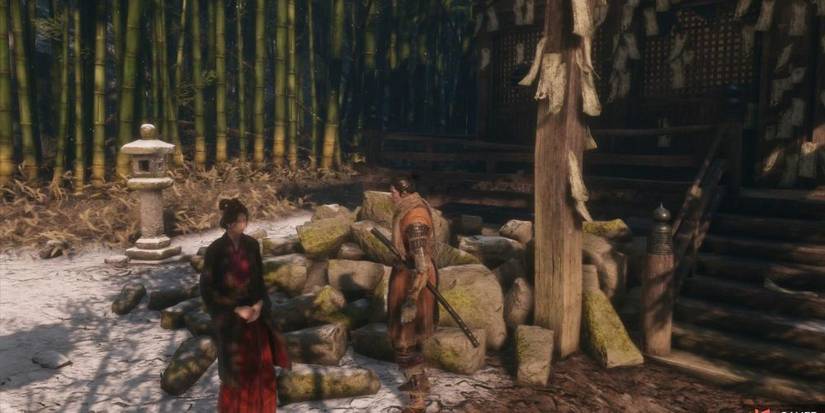 Sekiro: 10 Best Characters