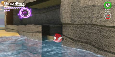 Super Mario Odyssey: All Purple Coins In The Seaside Kingdom