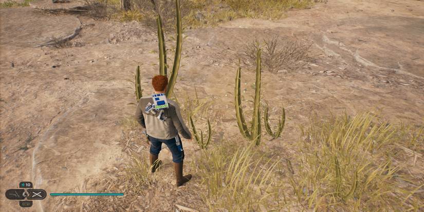 Star Wars Jedi: Survivor - All Collectible Seed Locations