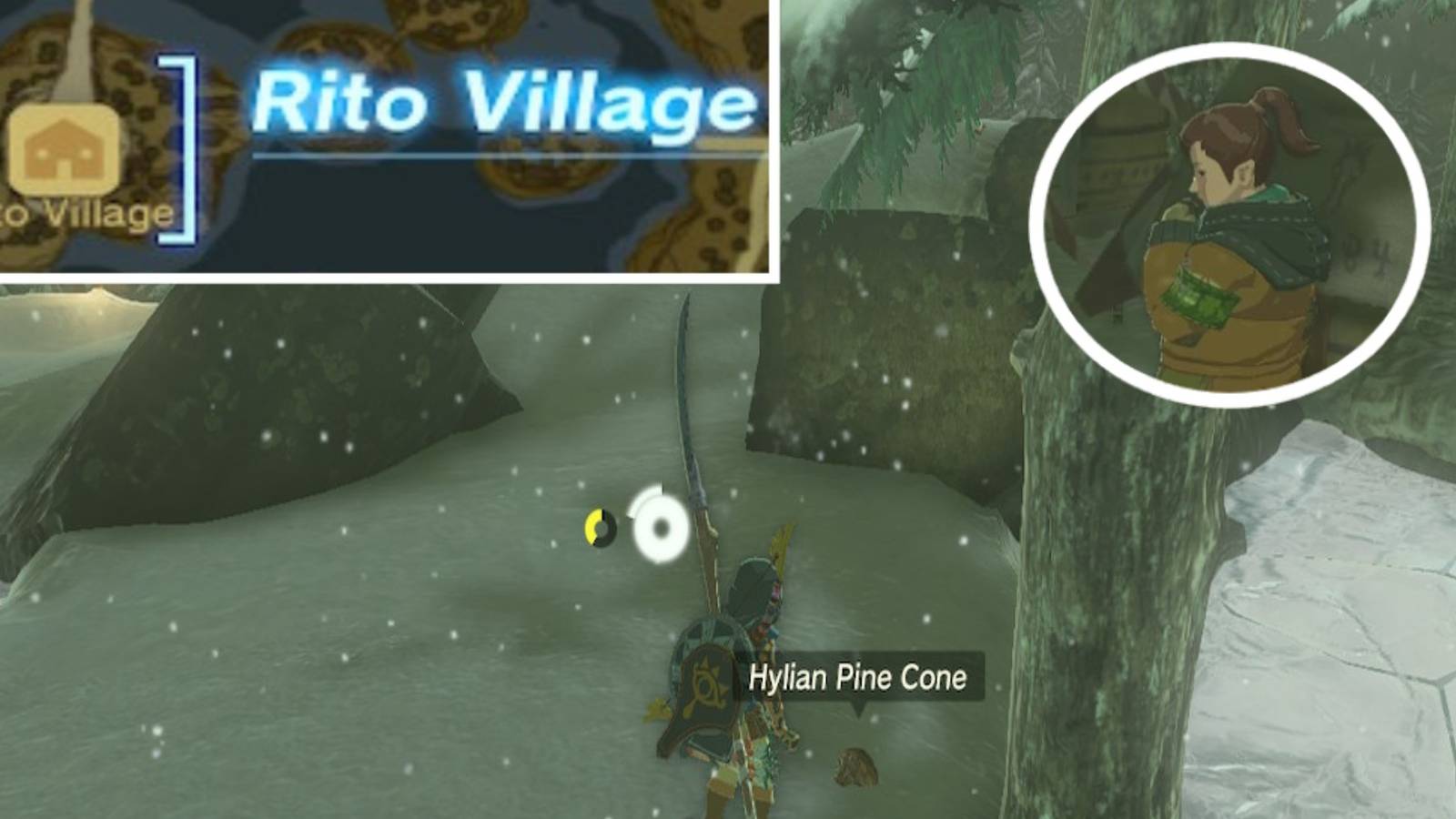 Tears Of The Kingdom: How To Get To Rito Village