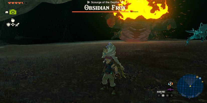 Tears Of The Kingdom: How To Beat Frox
