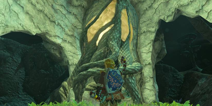 Sohse Lightroot Tears Of The Kingdom: 14 Tips For Exploring The Depths