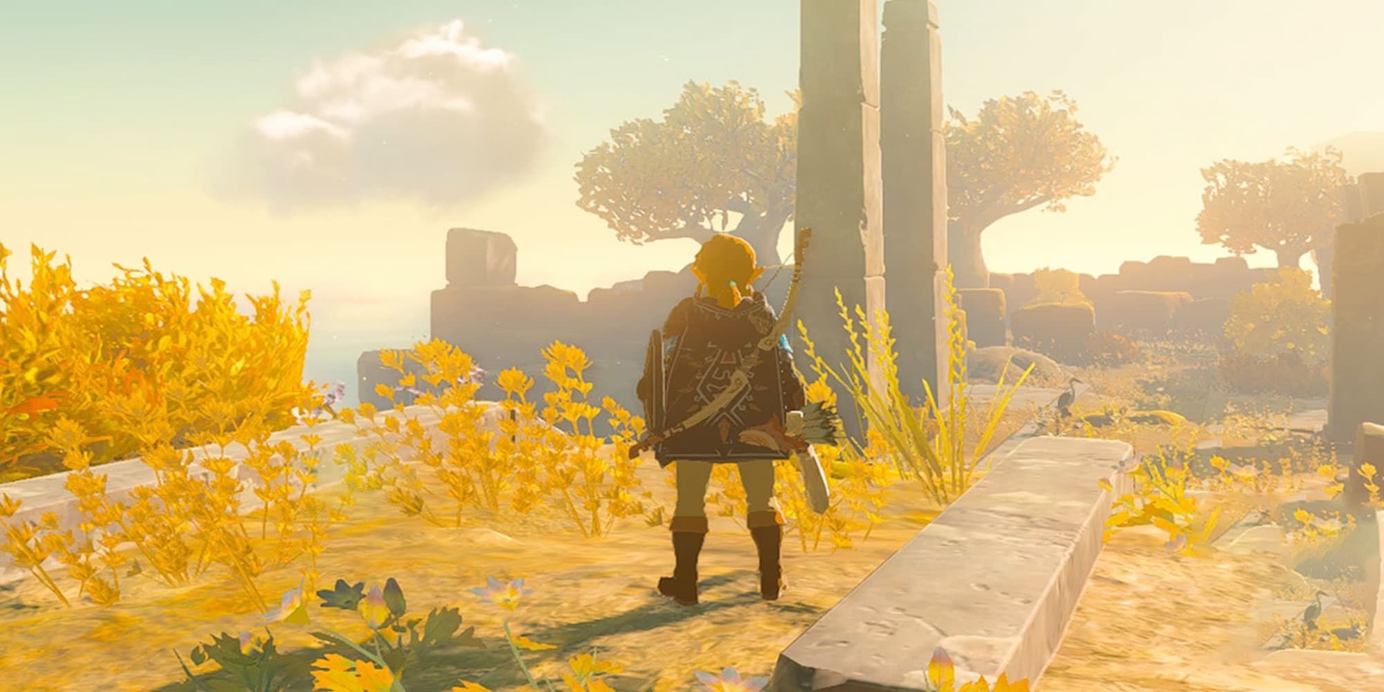 Legend Of Zelda: Shard Of Nightmare' To Be Unveiled At E3? Check