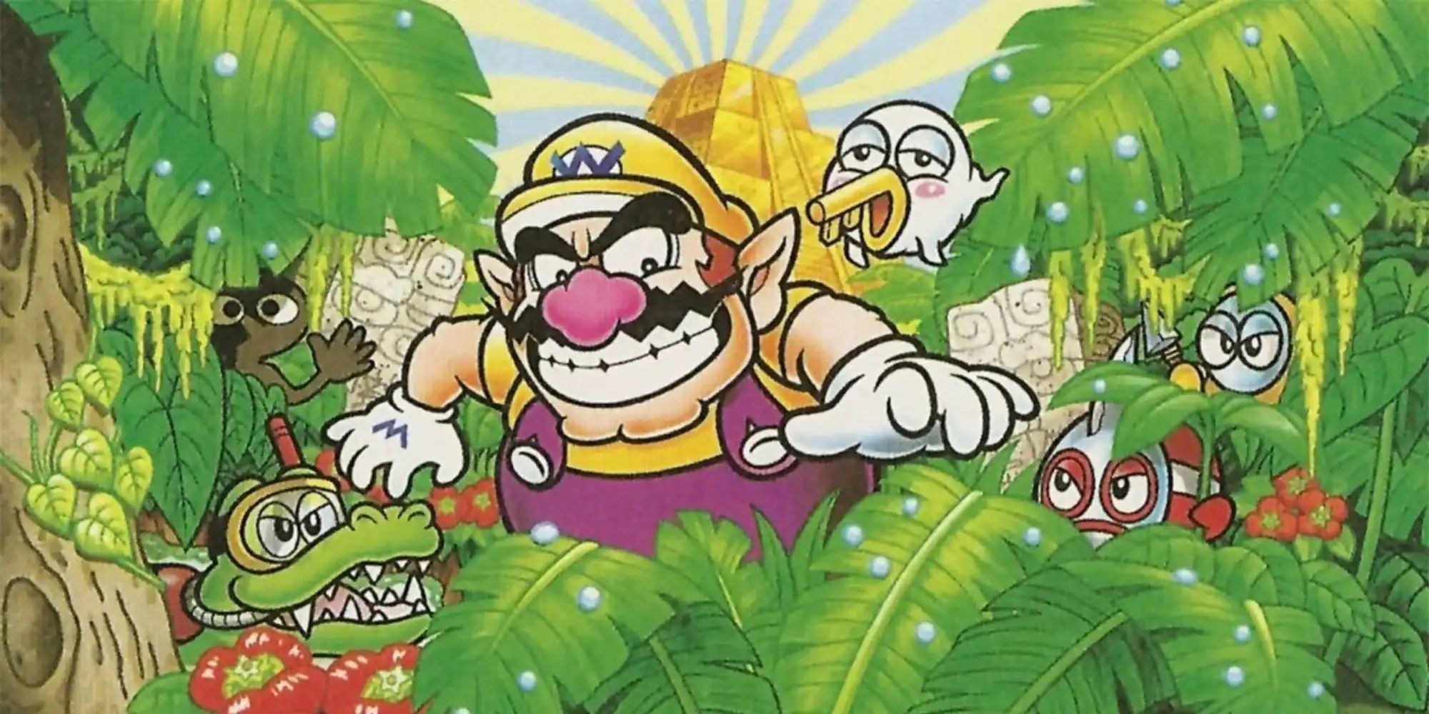 Wario Land 4 artwork.