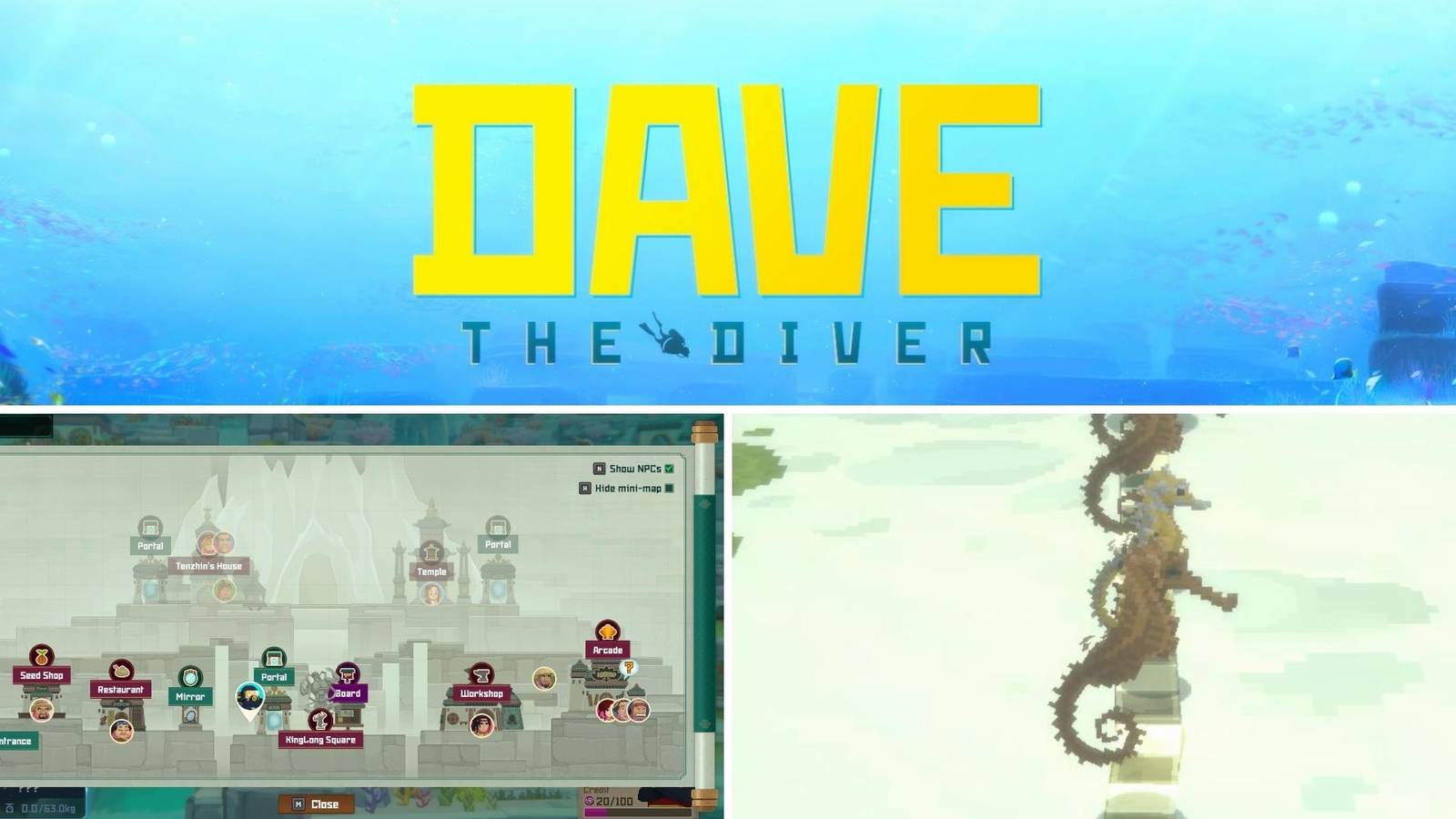 Dave The Diver: Where To Catch The Runaway Seahorses