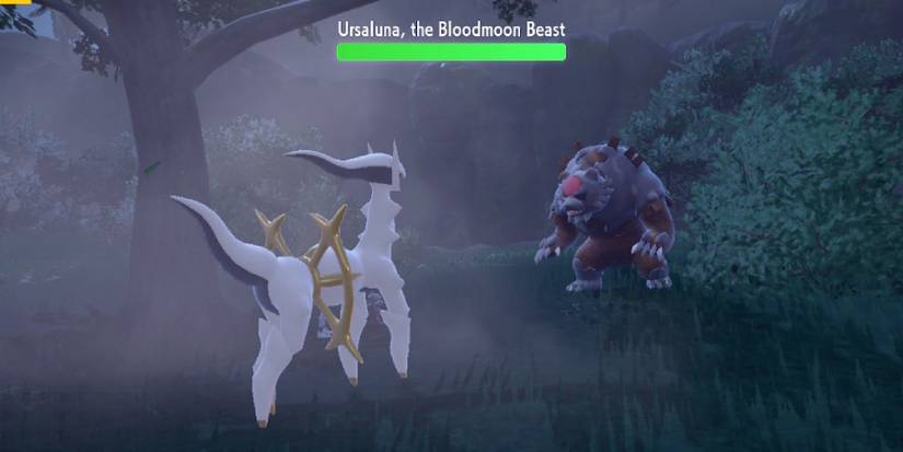 pokemon arceus vs ursaluna