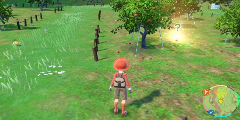Pokemon Scarlet & Violet DLC: How To Get & Evolve Applin
