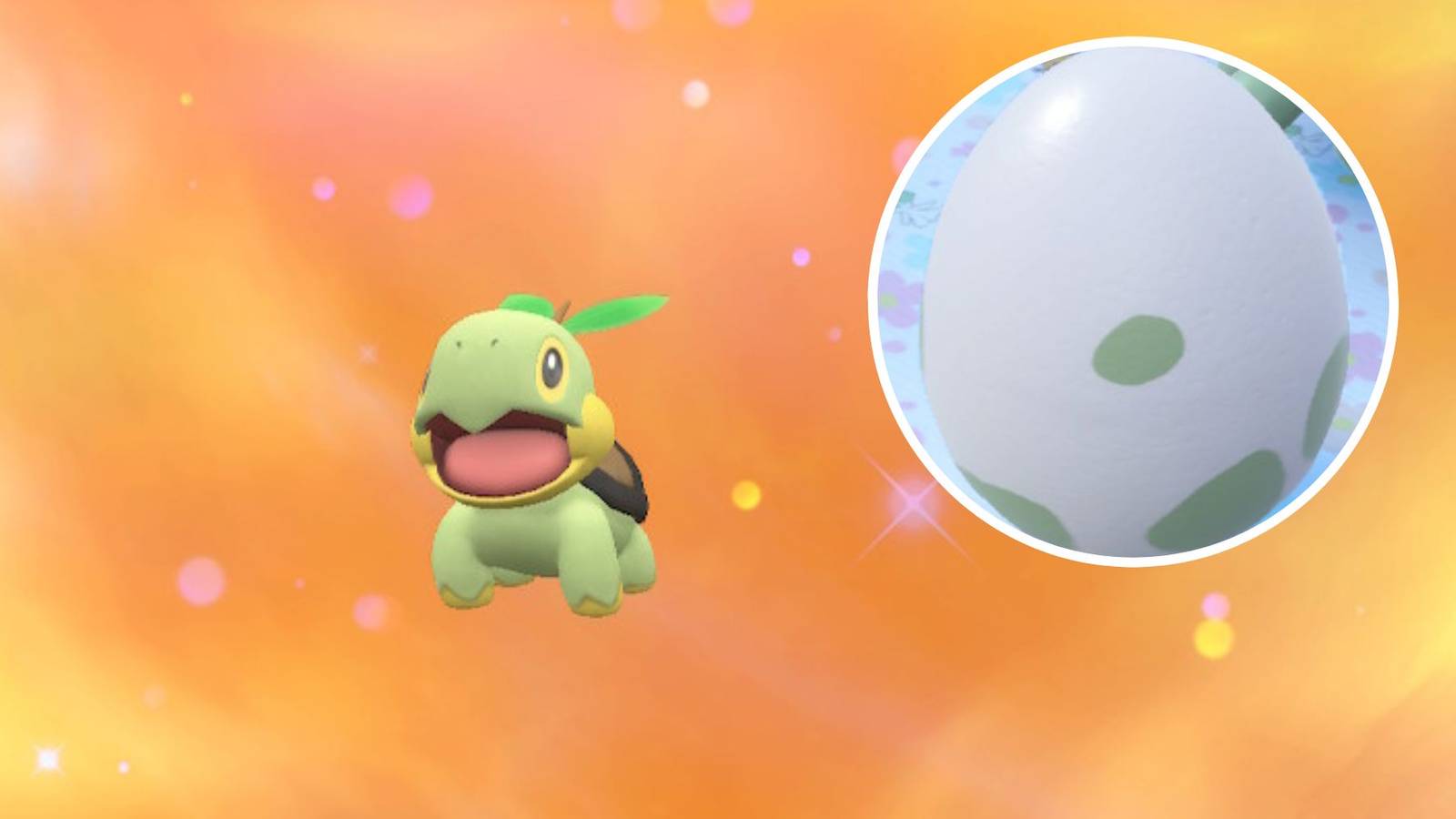Pokemon Scarlet And Violet DLC Split Image Turtwig And Egg