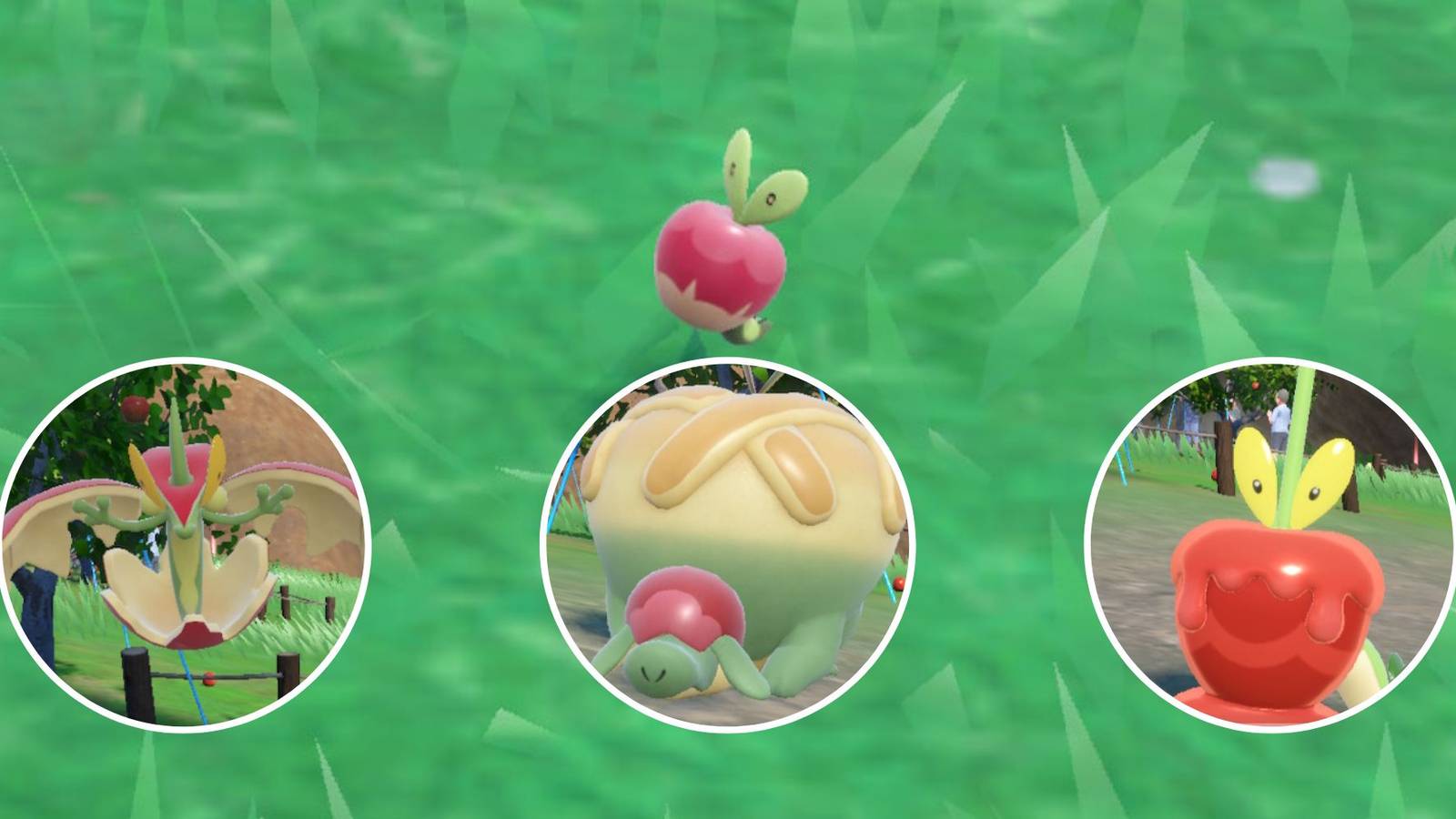 Pokemon Scarlet & Violet DLC: How To Get & Evolve Applin