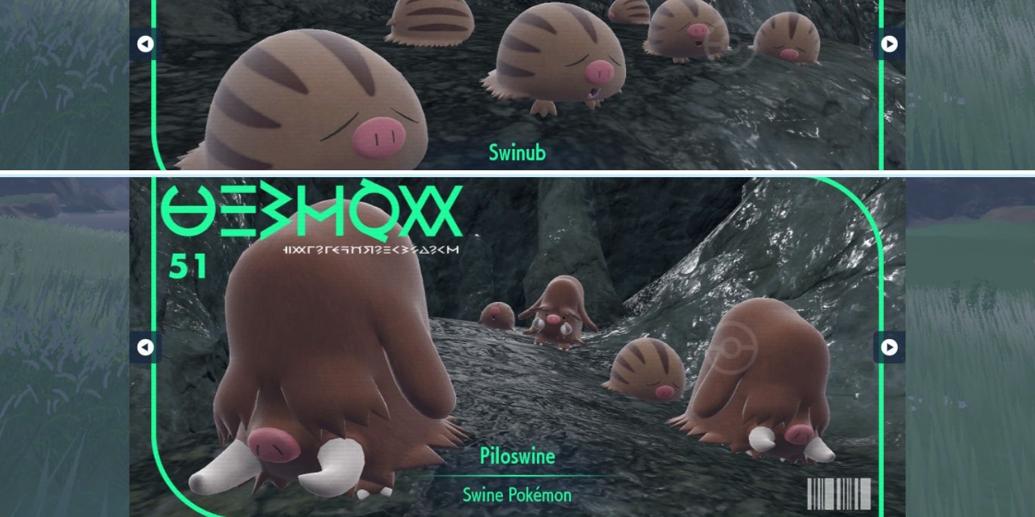 swinub.jpg?w=1200&h=900&fit=crop