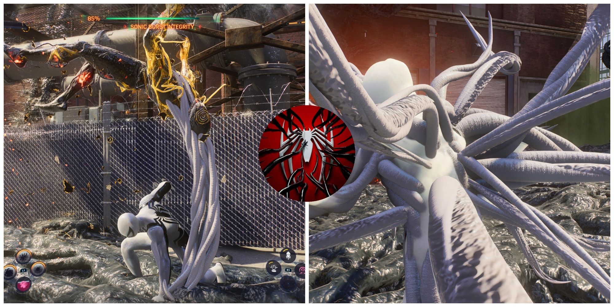 Collage Maker-31-Oct-2023-05-09-AM-7677