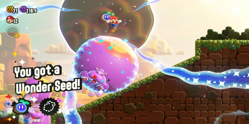 Super Mario Bros. Wonder: Wonder Flower Effect, Explained