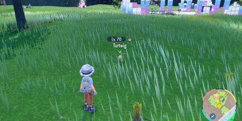 Indigo Disk Wild Turtwig