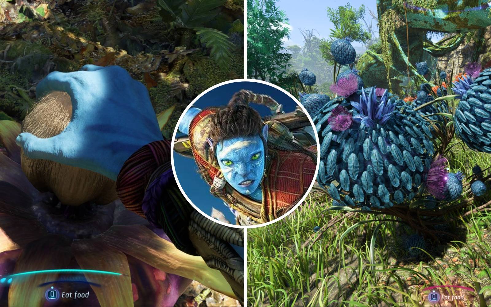 Avatar: Frontiers Of Pandora - Where To Find Fiber