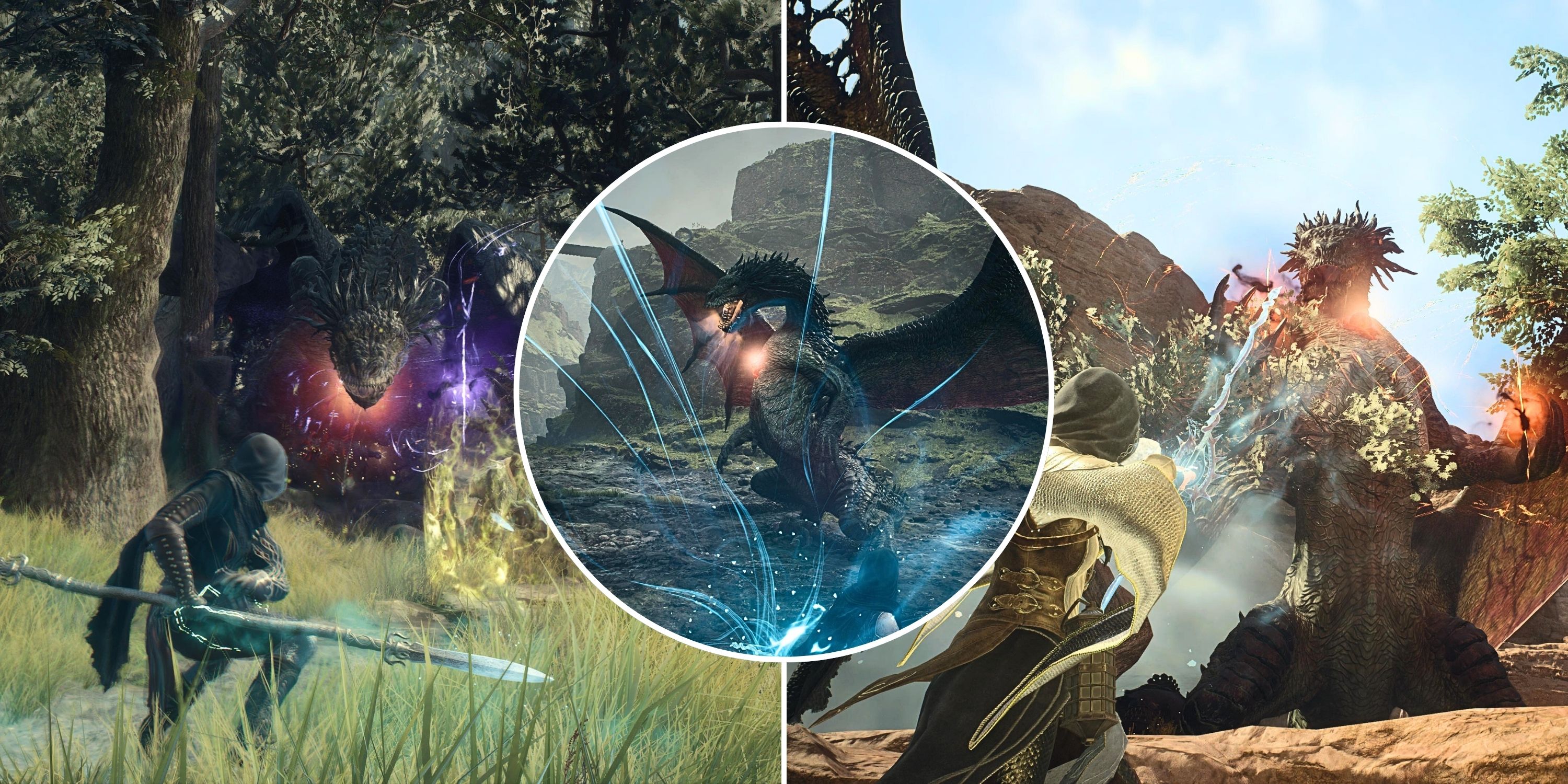 Dragon's Dogma 2: How To Beat Dragons