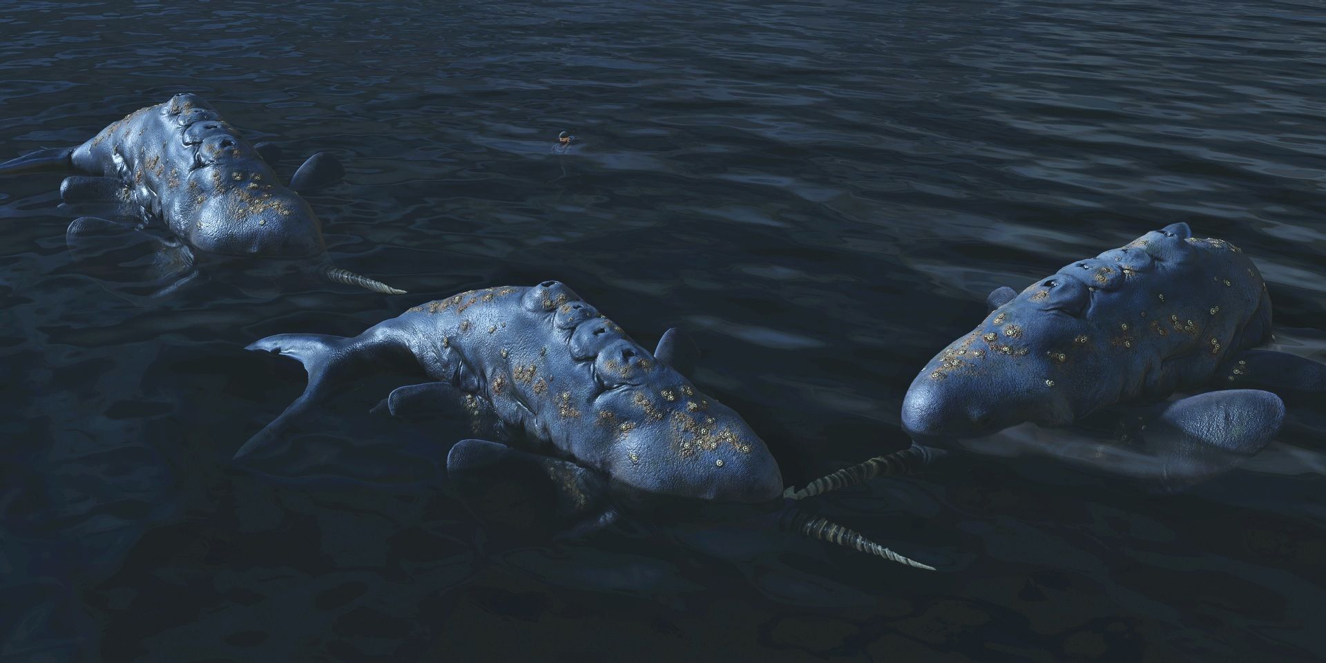 Starfield Player Shares Handy Tip For Finding Coastlines