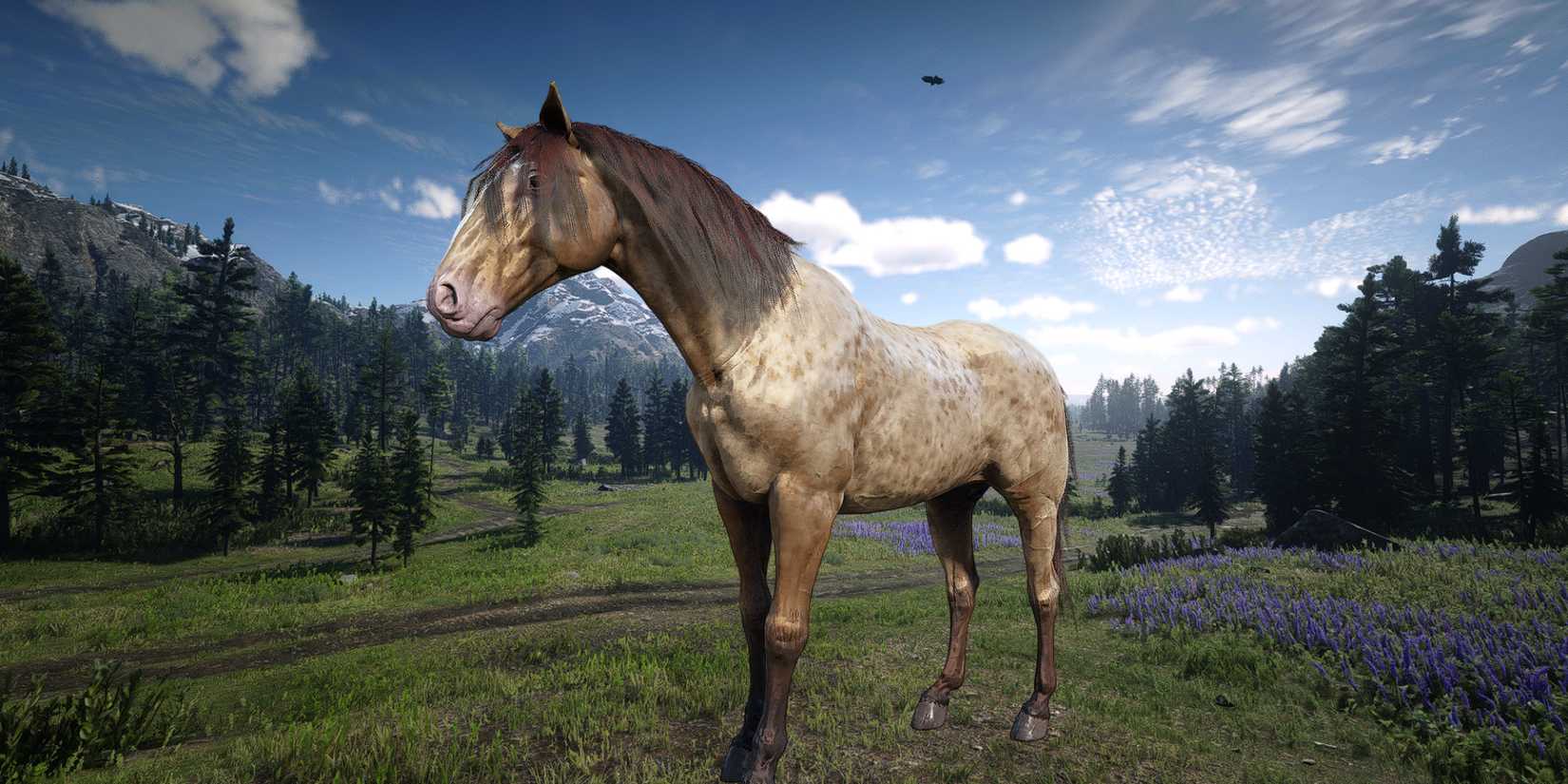 Fox Trotter Rdr2 10 Best Horses In Red Dead Redemption 2