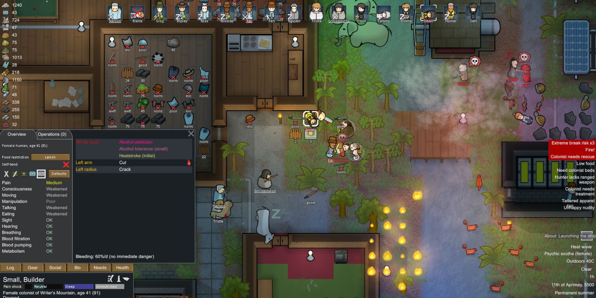 Rimworld Survival Game 2D Interface