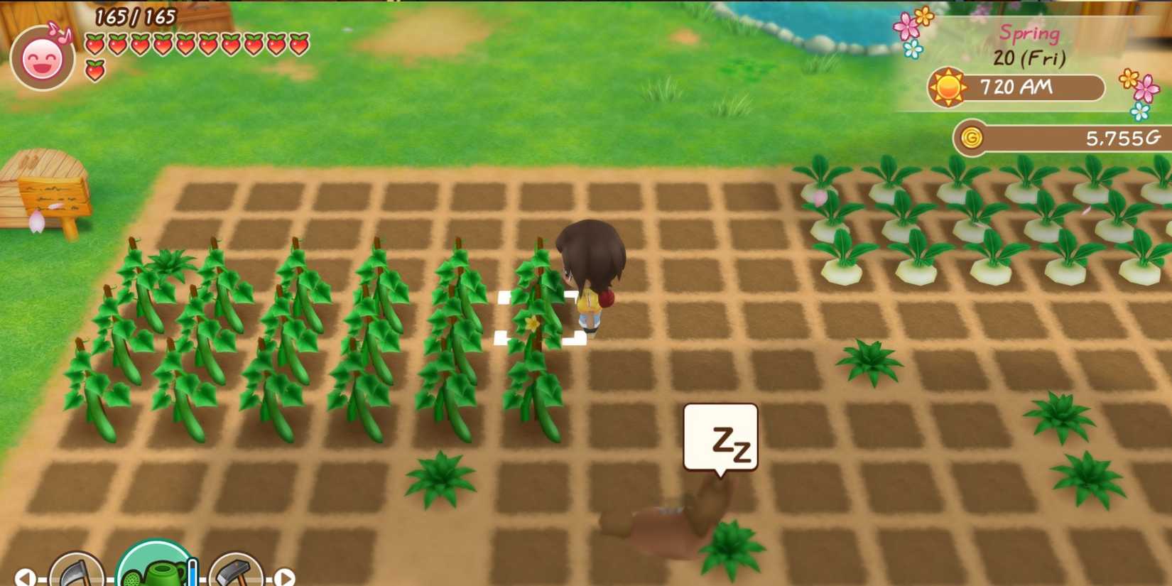 Story of Seasons Friends of Mineral Town Farming Stardew Valley