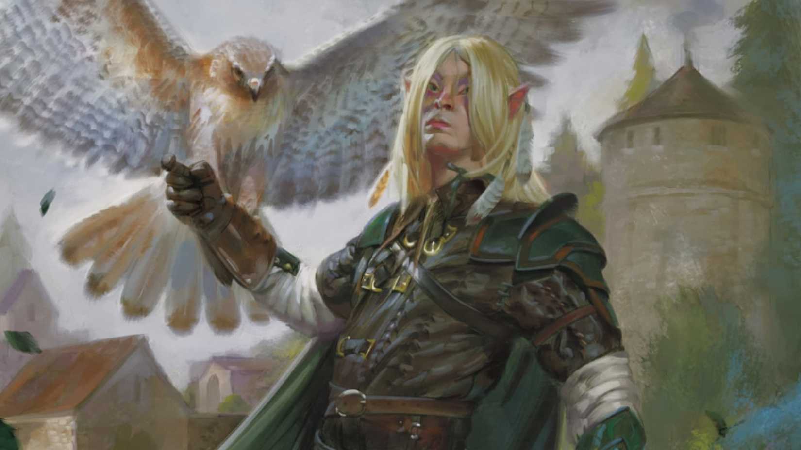 D&D: Best Classes For Each Species