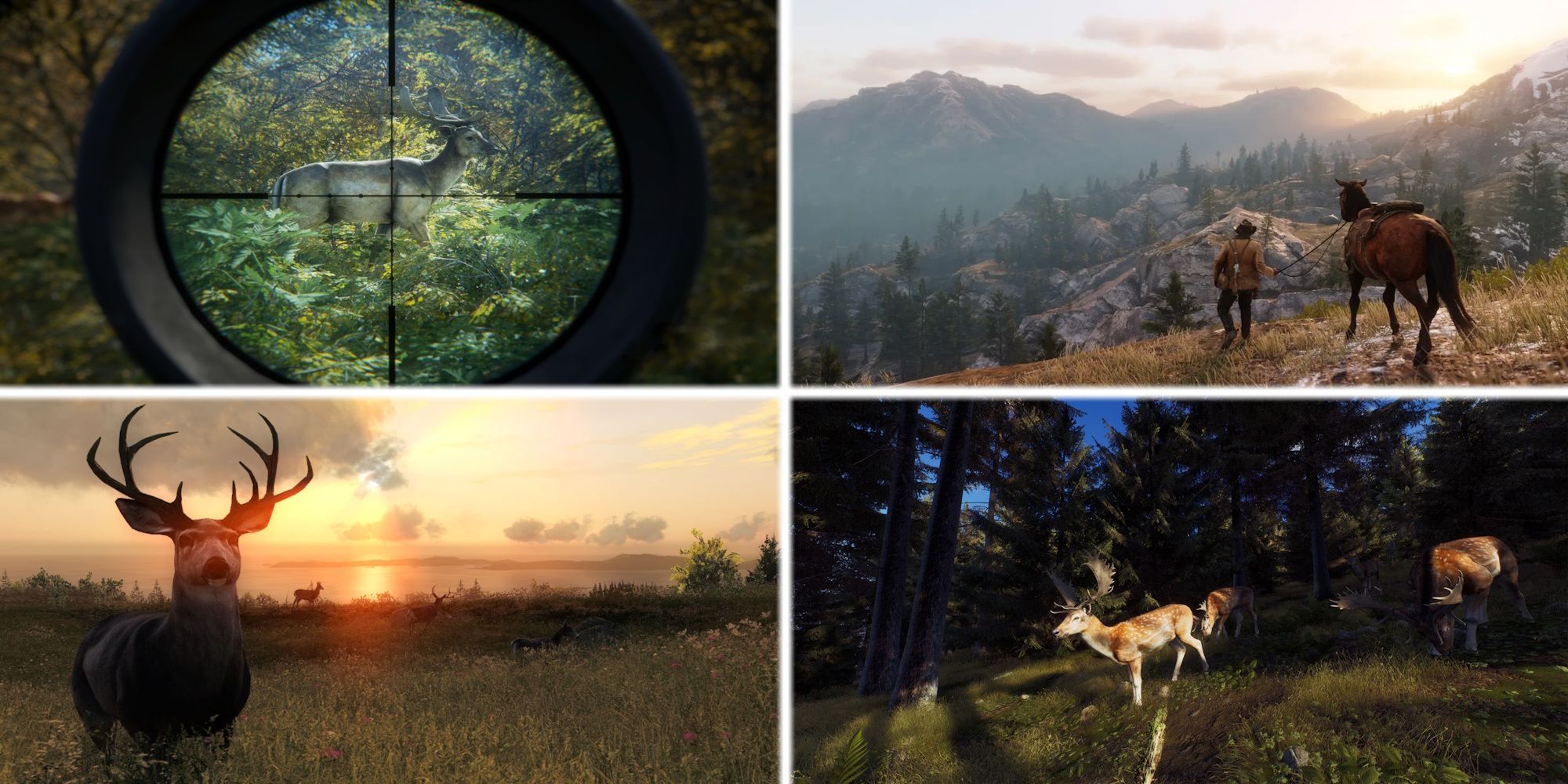theHunter COTW, RDR2, theHunter Classic, Way of the Hunter