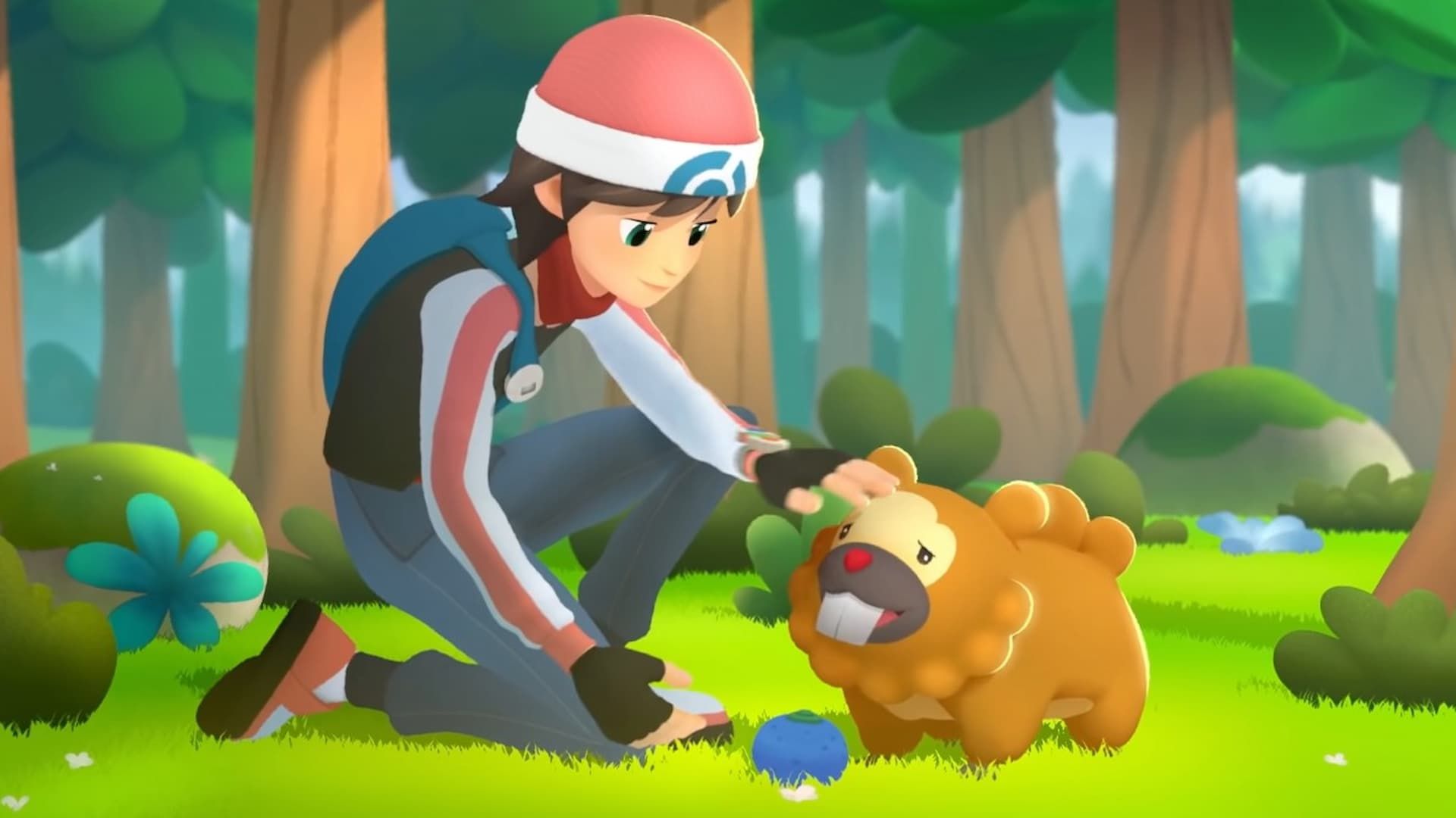 Pokemon Bidoof's Stand Cover Trainer