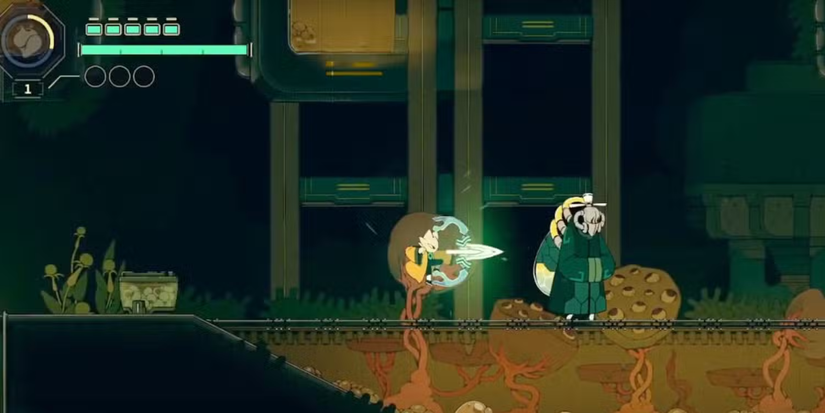 A Nine Sols' farming spot