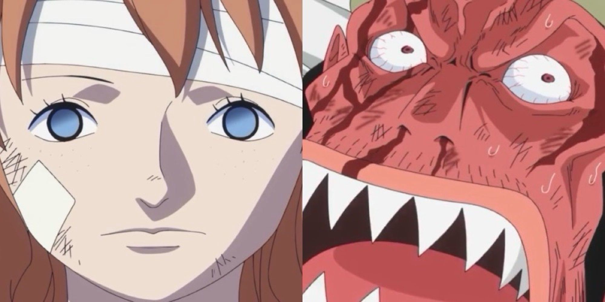 Featured Image One Piece (1)