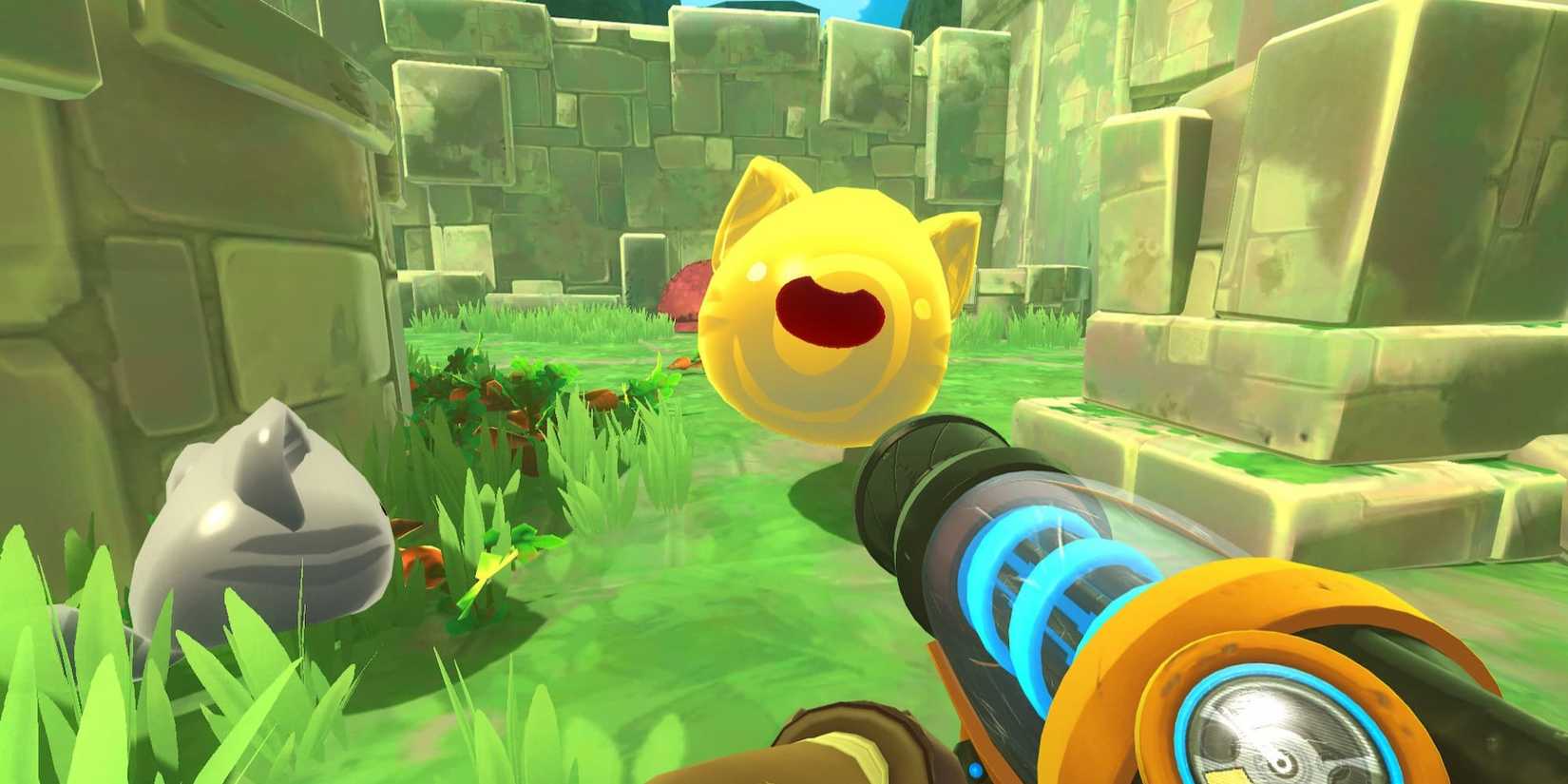 Happy Slime in Slime Rancher