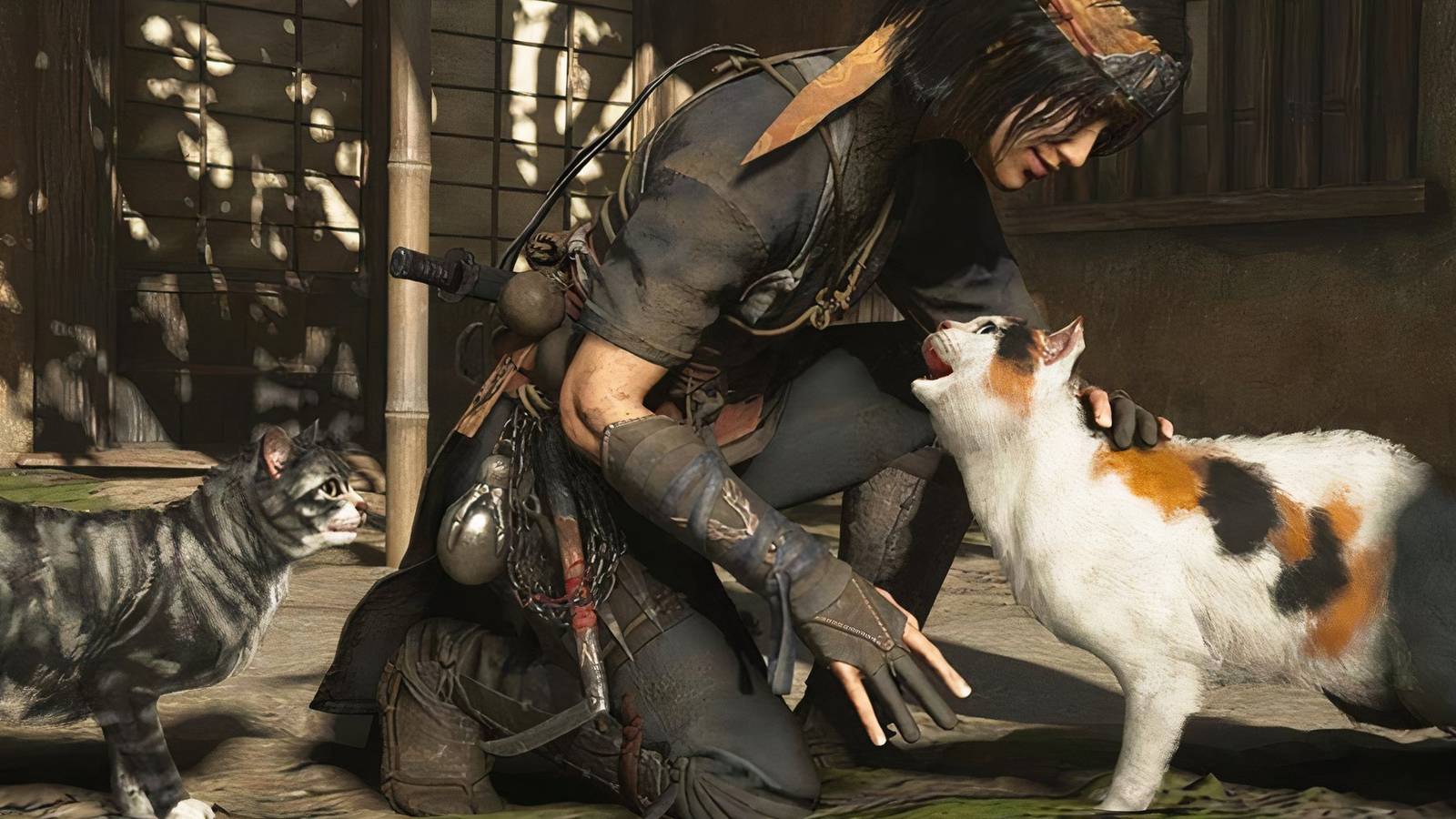 Assassin's Creed Shadows Easter Egg Shows Off Developer's Cat, image size:1600x900