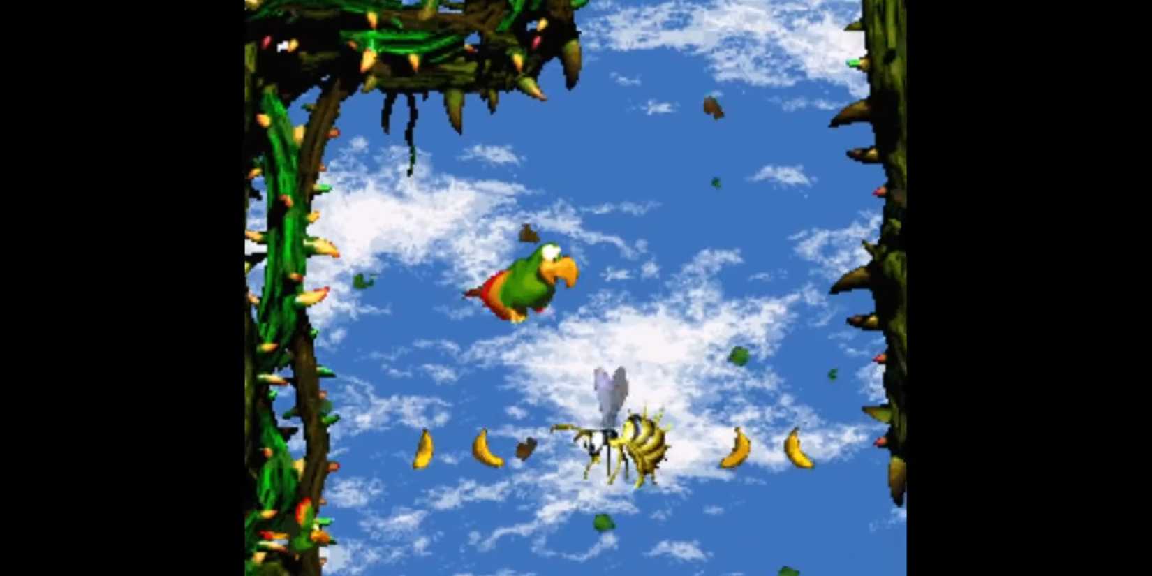 Super Donkey Kong 2: Diddy's Kong Quest