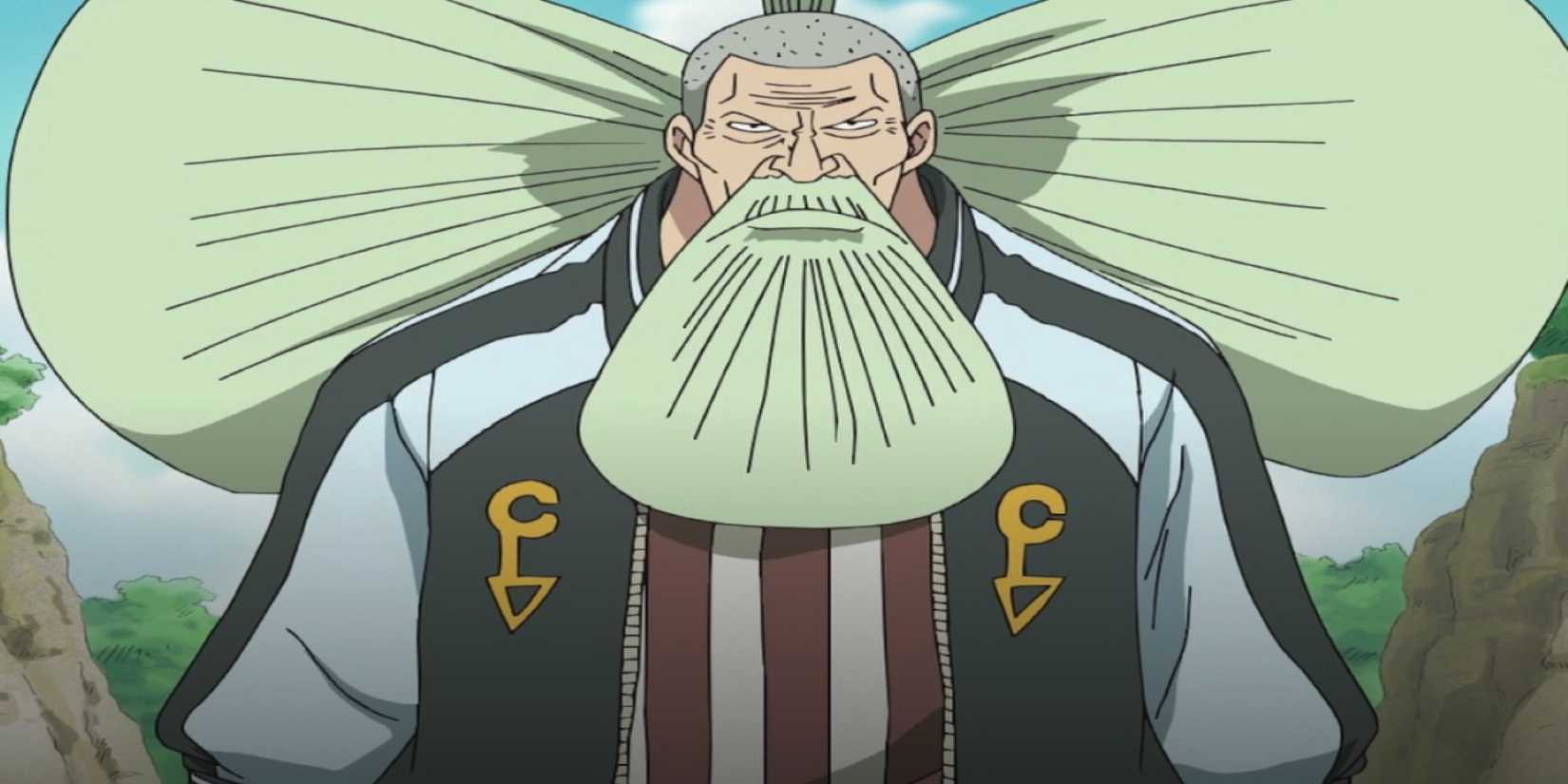 The Ranking Of Genius Characters In The One Piece Series