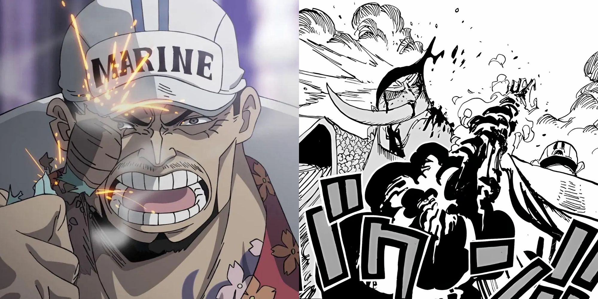 Meigo (Dark Hound) – Sakazuki (Akainu)
