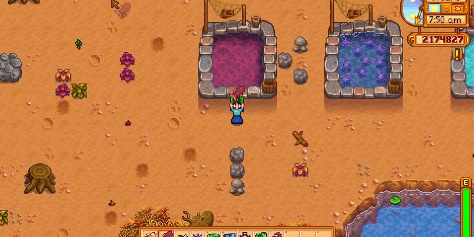 Undead Fish 8 Most Profitable Pond Fish in Stardew Valley