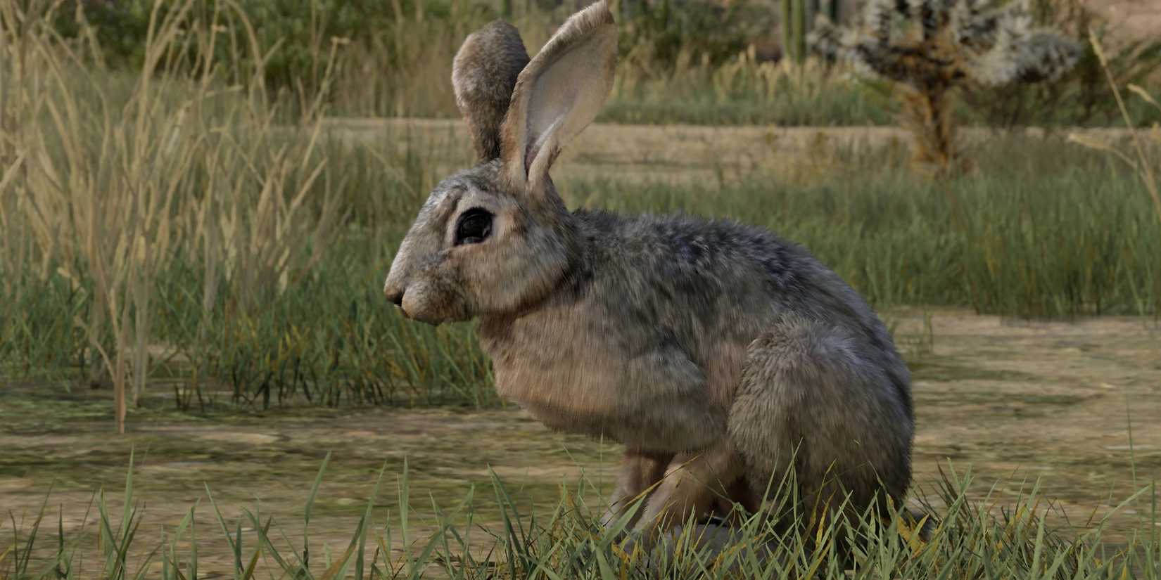 Red Dead Redemption 2 Rabbit