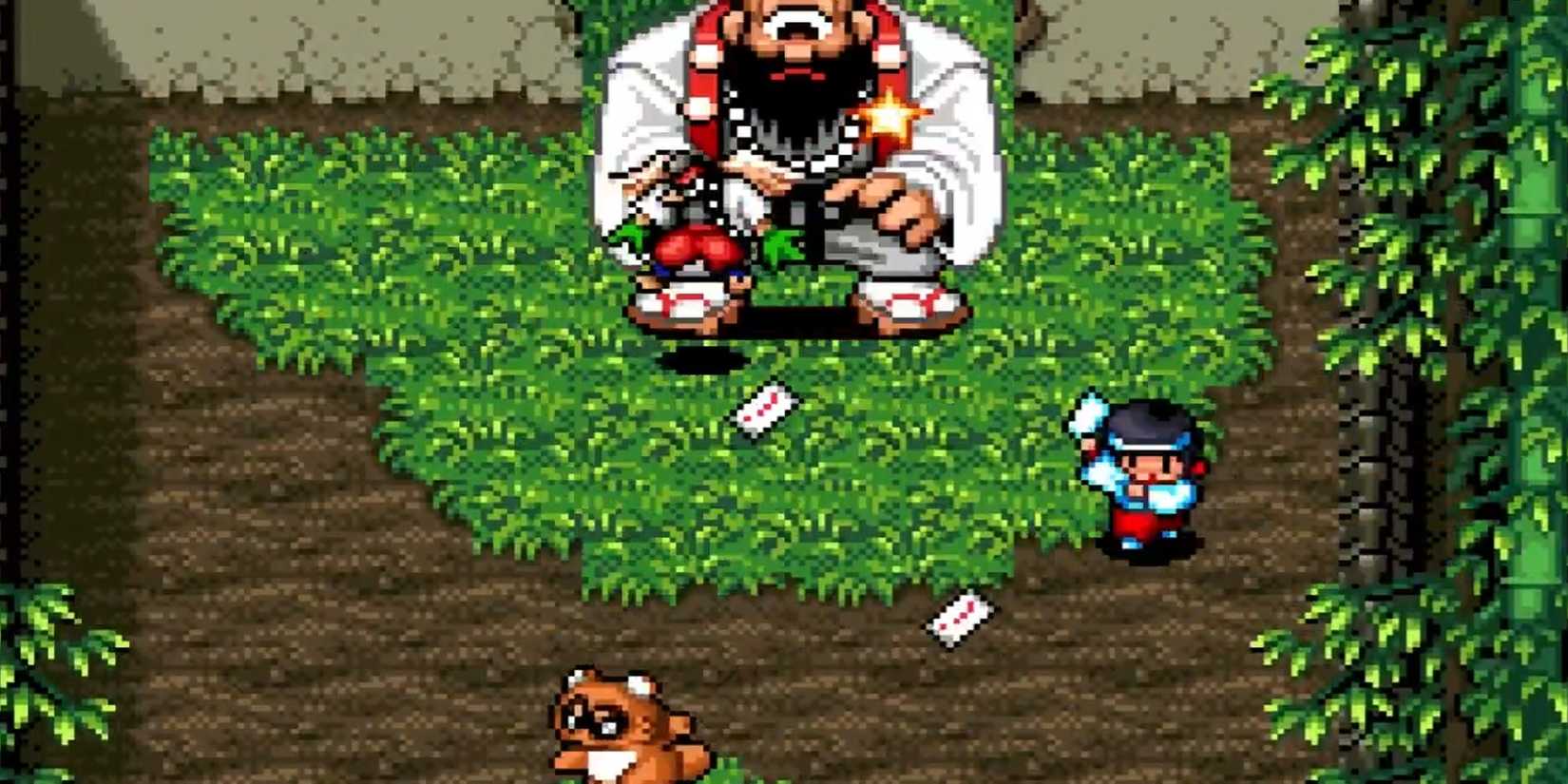 Co-op gameplay in Pocky & Rocky