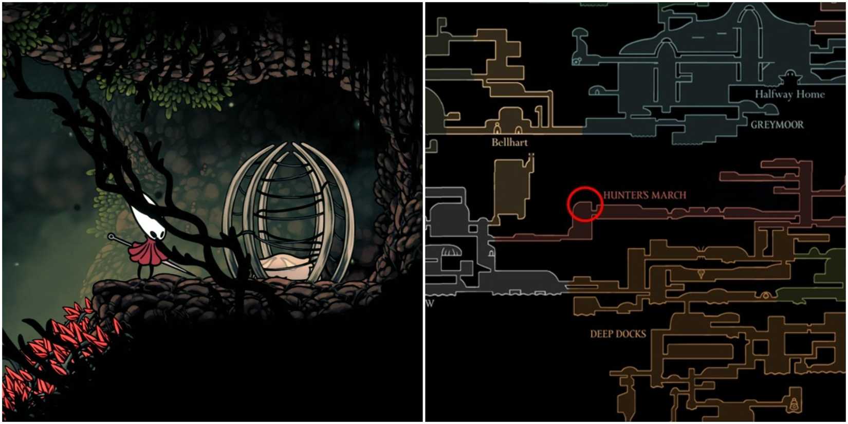 Hollow Knight: Silksong: The Lost Fleas Quest Guide