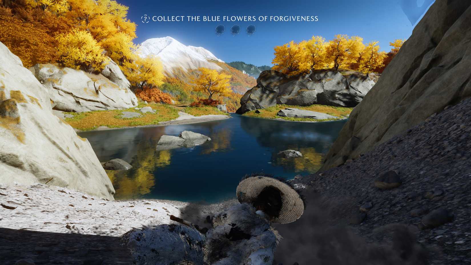 the bottom of the amber respite trail