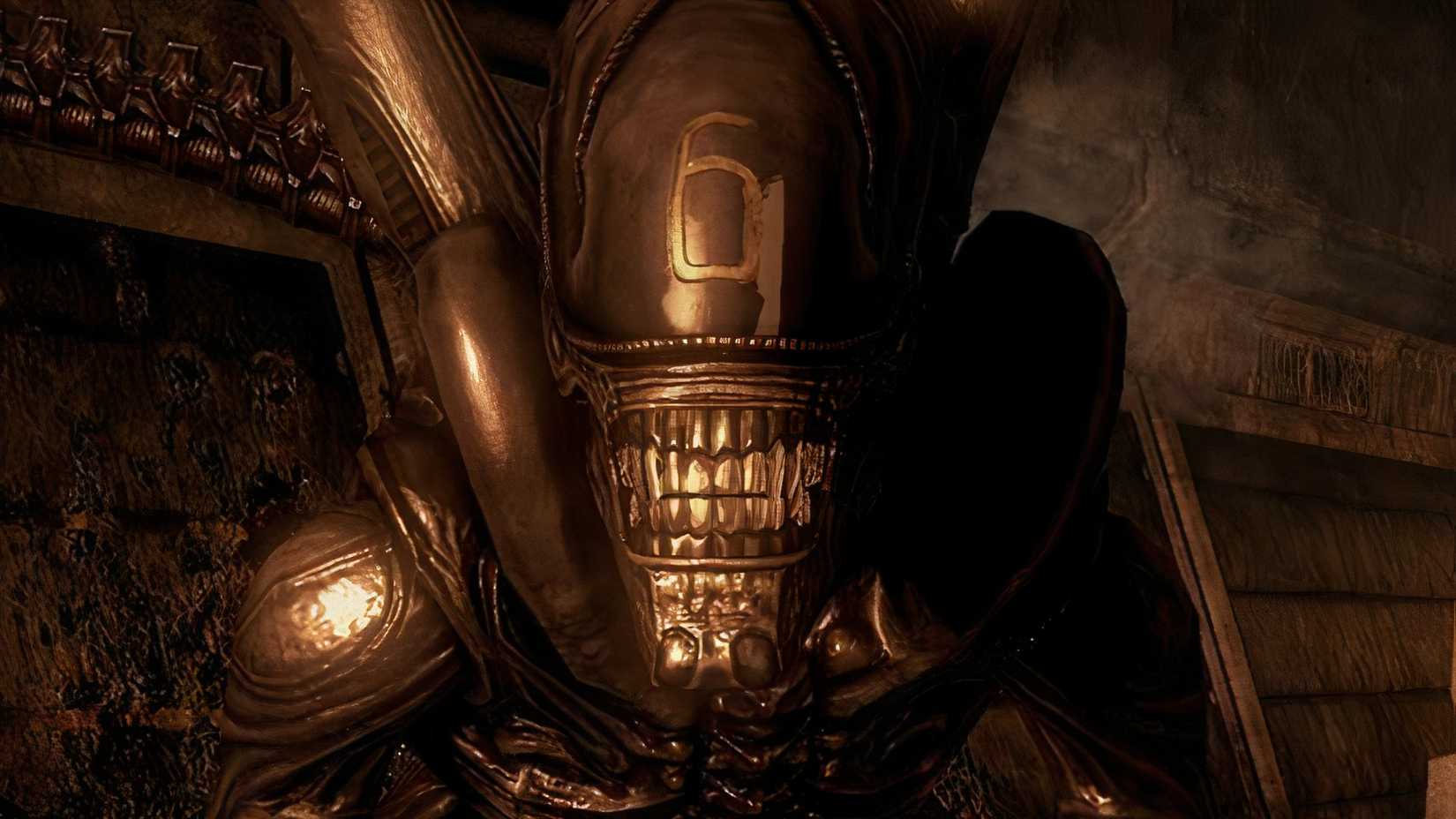 Alien vs. Predator Sample 6