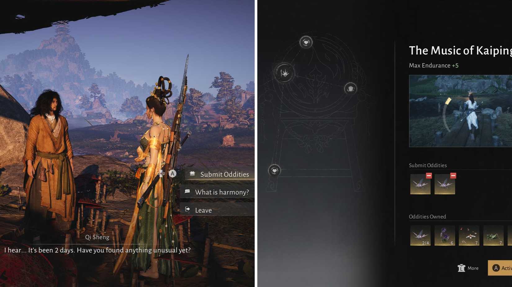 Donde los vientos se encuentran con el coleccionista de rarezas