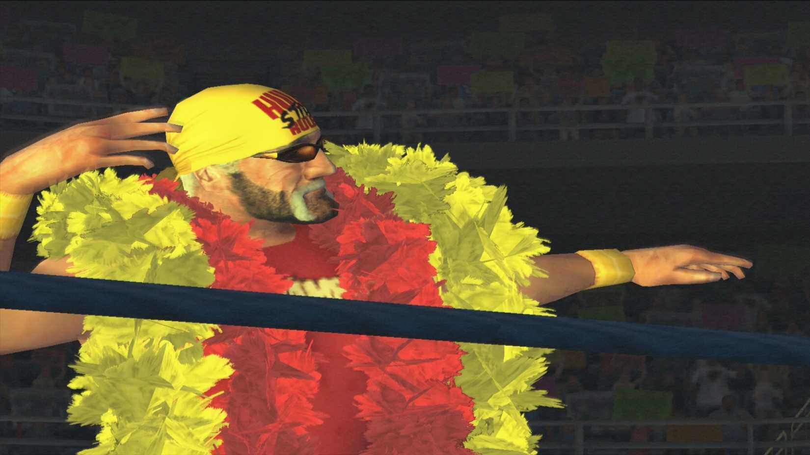 Hogan appears