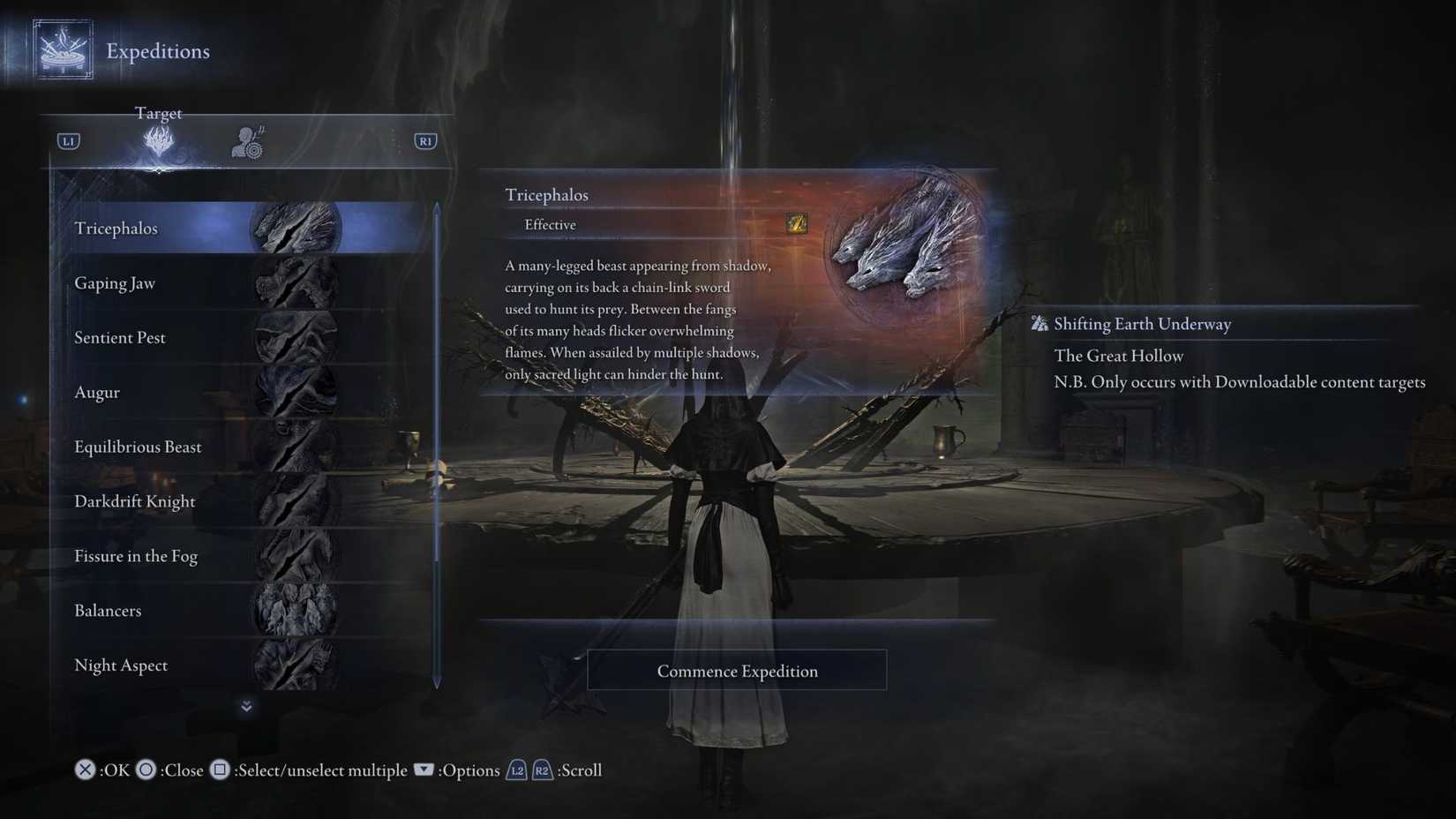 Elden Ring Night Rain Great Hollow Shifting Earth Menu