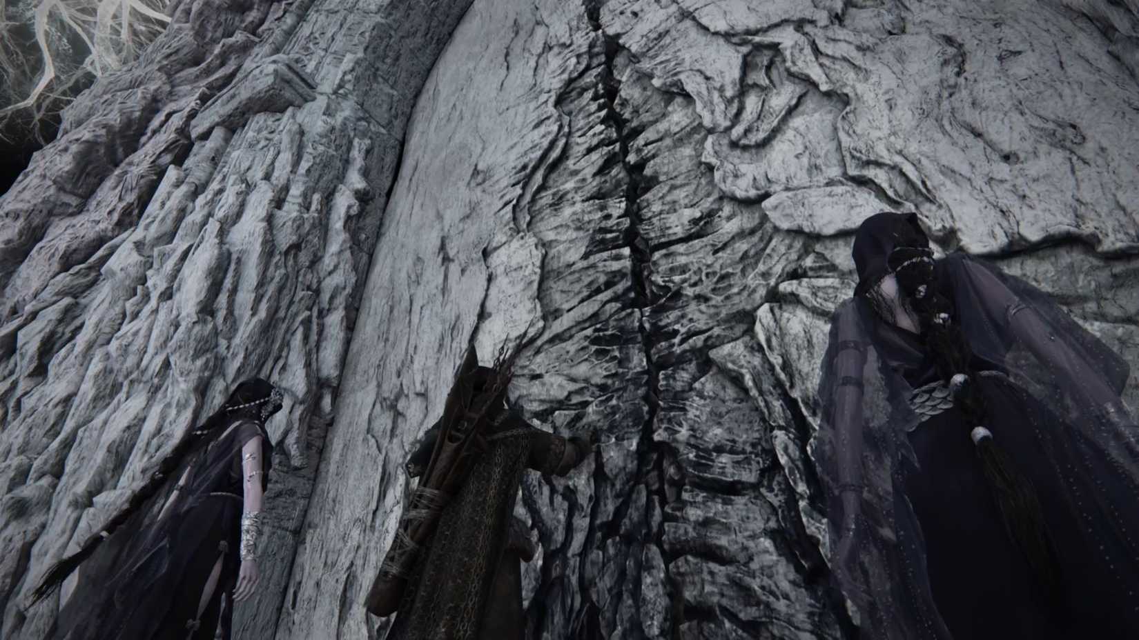 Dreg Lord's Elden Ring Night Rain Party Composition