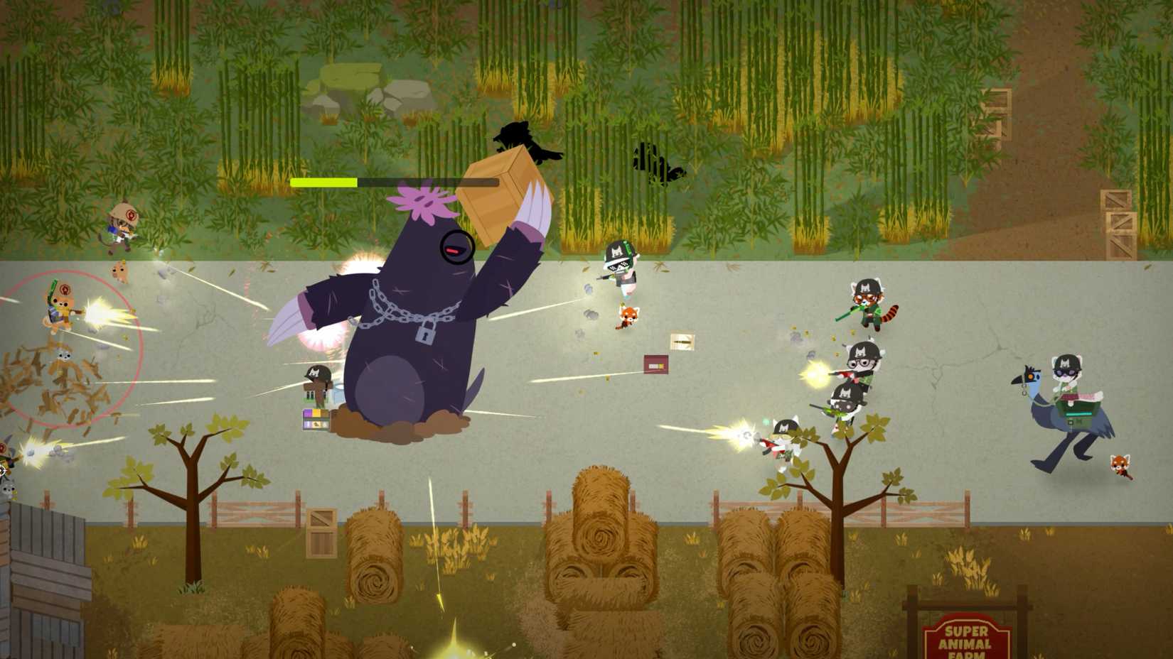 SAW Interview Image 5