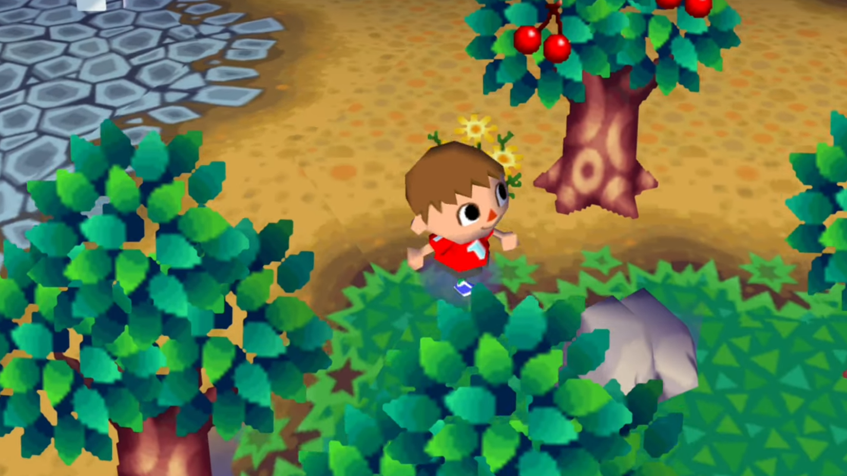 Animal Crossing Wild World gameplay