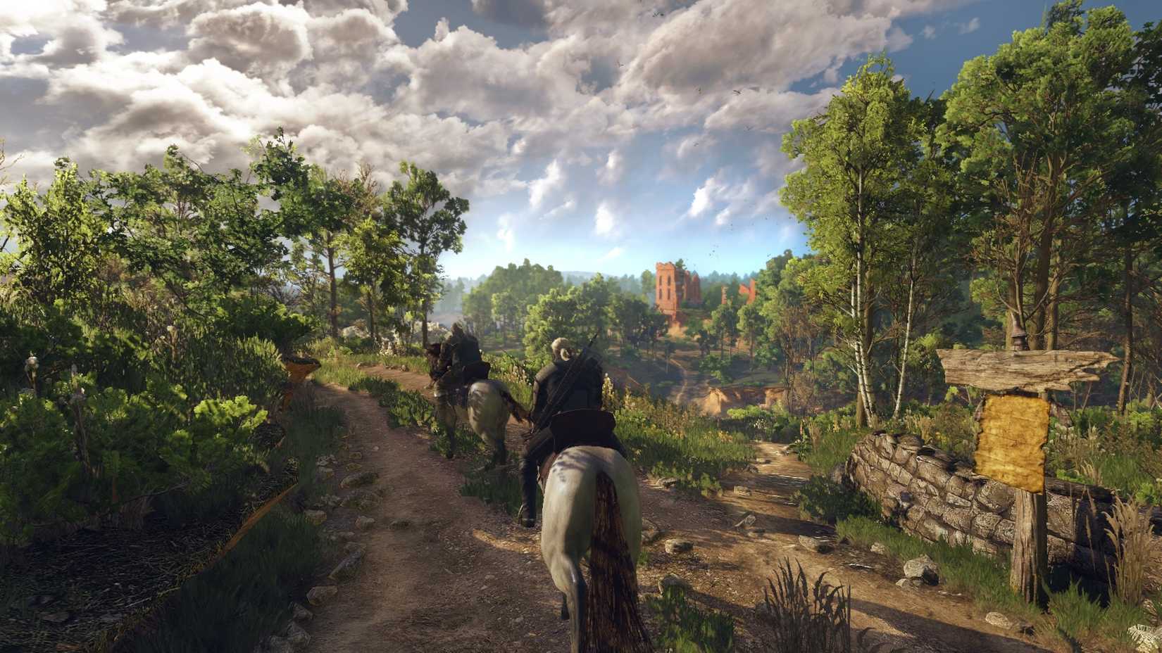 Witcher 3 Wild Hunt
