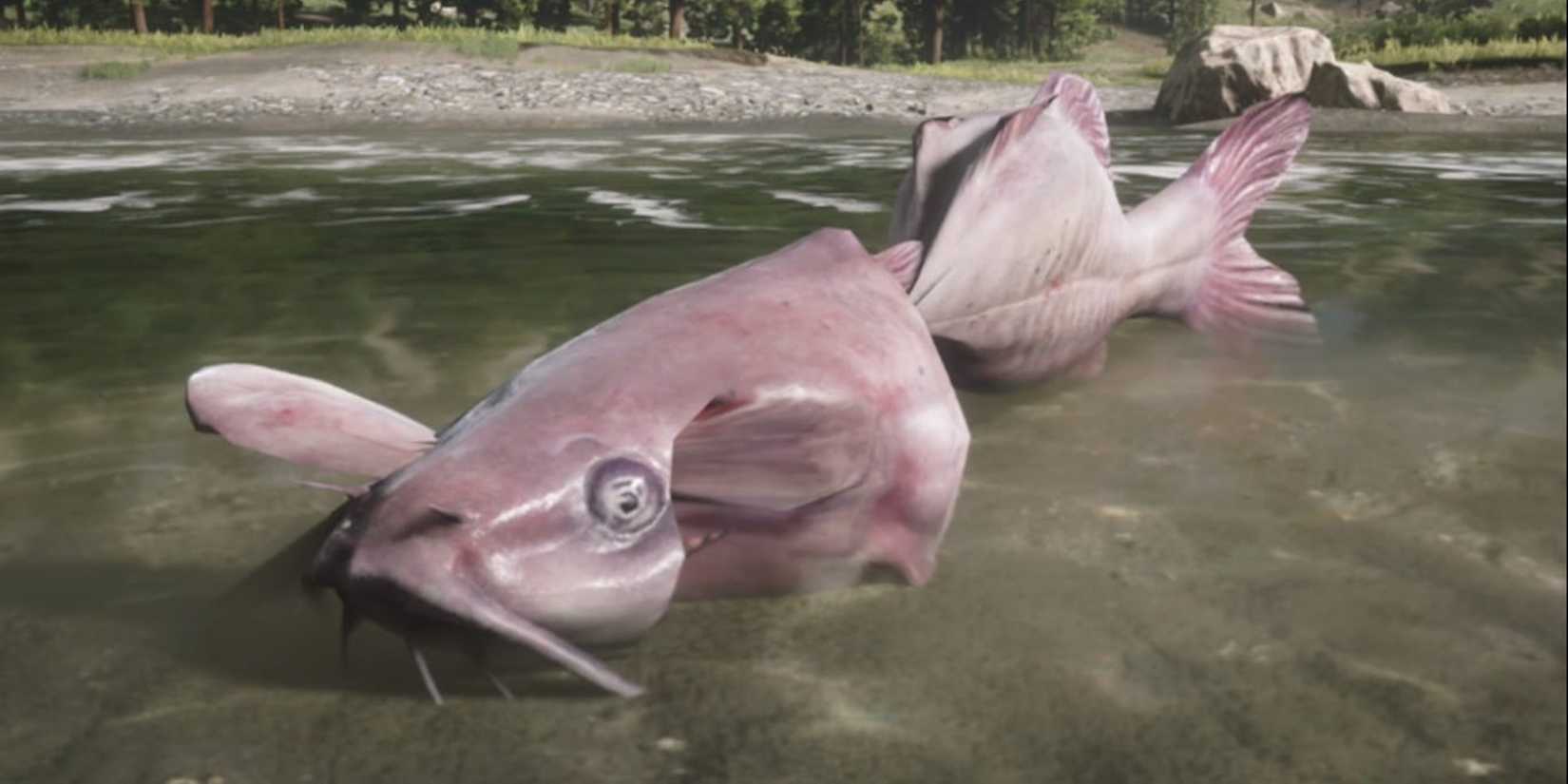 Creepiest Mysteries From Red Dead Redemption 2 The Legendary Catfish-1